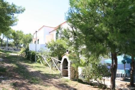 Falcone - 11