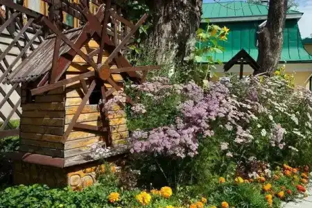 Usadba Pleshanova - 8