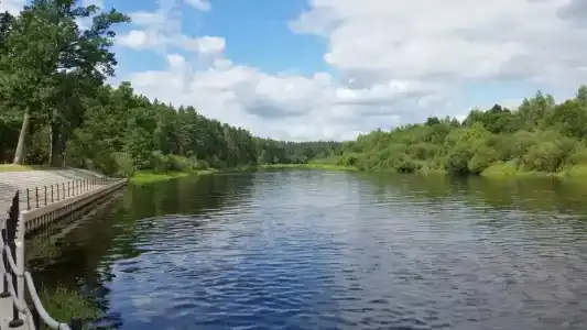 Berezinskaya Dubrava - 42