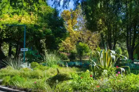 Pansionat izumrud Health resort - 12