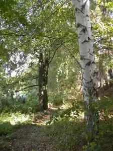 - 16