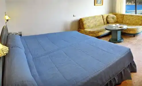 Kaktus Kaktus Albir - 64