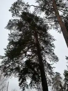 Okatur Tourist base - 93