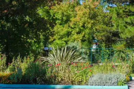 Pansionat izumrud Health resort - 20