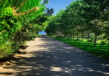 Kapchik kz Tourist base - 15