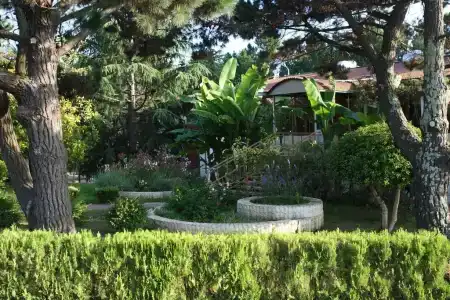 Pansionat izumrud Health resort - 7