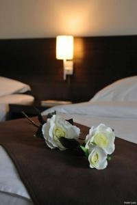 Lucic Rooms & Suites - 25
