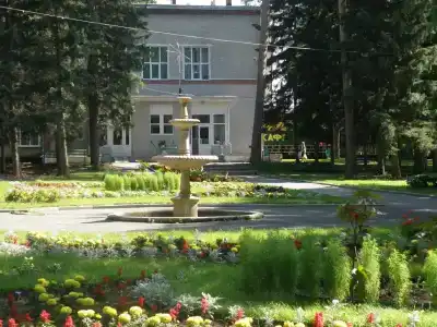 Sanatorium Sosnovyy bor - 14
