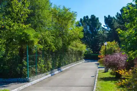 Pansionat izumrud Health resort - 23