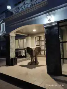 Gostinichny Kompleks "zolotoy Slon" - 84