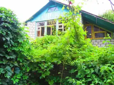 Пансионат Крымские Дачи - 8
