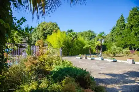 Pansionat izumrud Health resort - 8