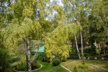 Koktem Sanatorium - 7