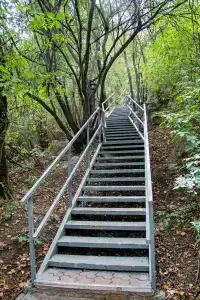 Koktem Sanatorium - 6