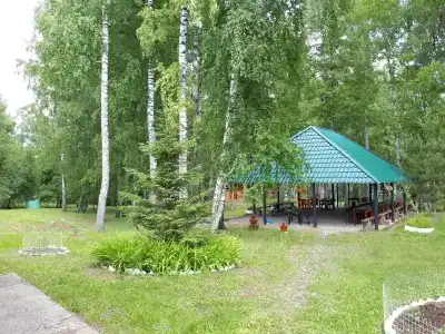 Beryozovaya roshcha - 4