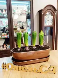 Stariy Dvorik on Orlovskaya - 27