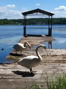 Recreation center SelyavaTur - 7