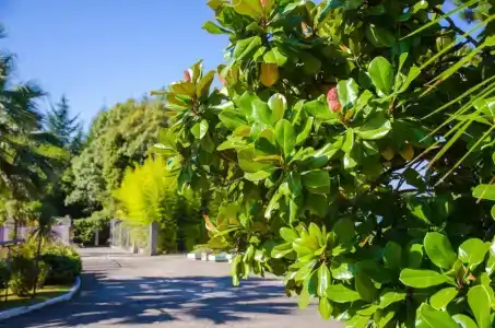 Pansionat izumrud Health resort - 22