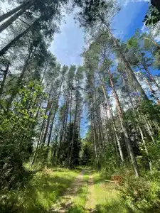 Complex Kamenyuky - 73