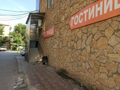 Surprise Yablochkova - 19