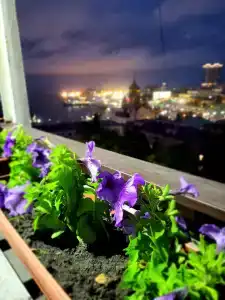 Golden Horn Bay View - 10