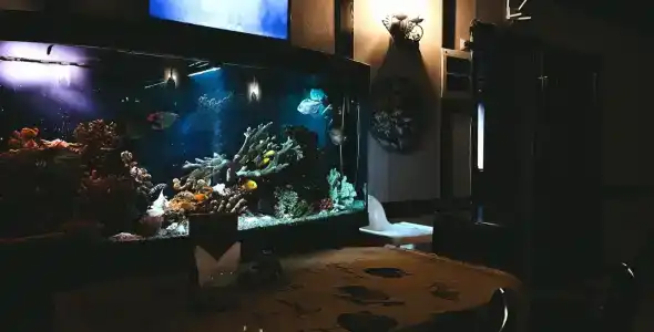 Volkoff-Sky Resort - 79