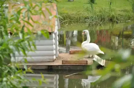 Eco Park Tourist base - 14