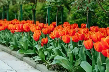 Uzhnoe Vzmorie Health Resort - 2