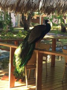 Natura Resorts - 14