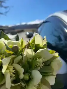 Verhnie Golubyye Ozyora - 46