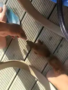 Okzhetpes Sanatorium - 77