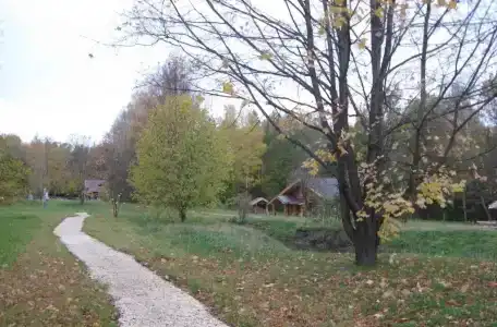 База отдыха Дубки - 5