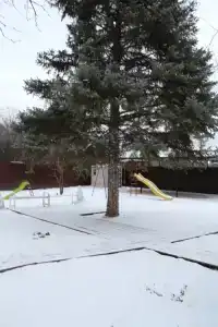 Guest house Druzhba - 13