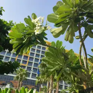 Centara Mirage Beach Resort Dubai - 23