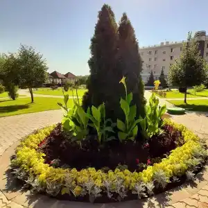 Park-New Century - 9