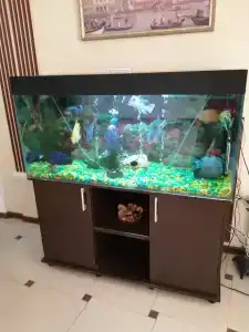 Gostinichno-Restorannyij Kompleks ZIHIYa - 42