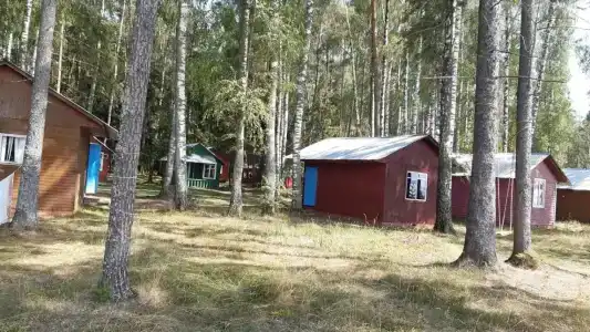 Vesyolyy bereg - 3