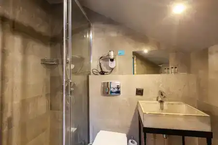 Wellion Baumansky - 70