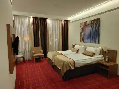 Best Western Plus Centre - 92