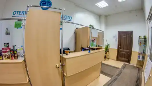 Skver Vyisotskogo - 50