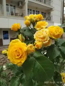 Orion Okhotnik & Spa - 41