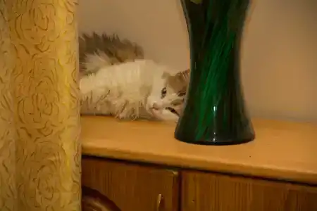 Уют Внуково - 7