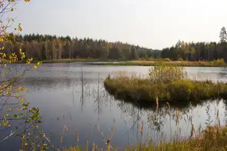 Ohotniche hozyaystvo Sechuga - 44