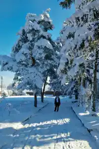 Izumrud Guest house - 11