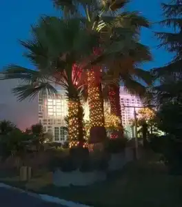 Pansionat izumrud Health resort - 41