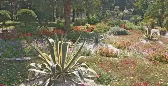 Pansionat izumrud Health resort - 45