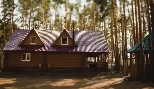 Baza Otdyha Razgulyai - 1