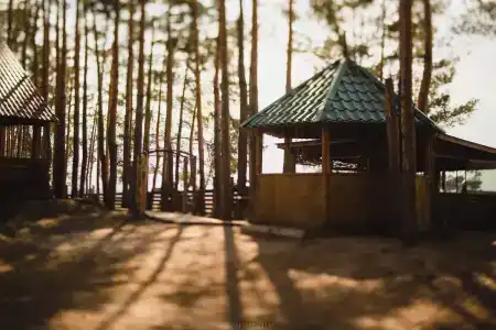 Baza Otdyha Razgulyai - 4