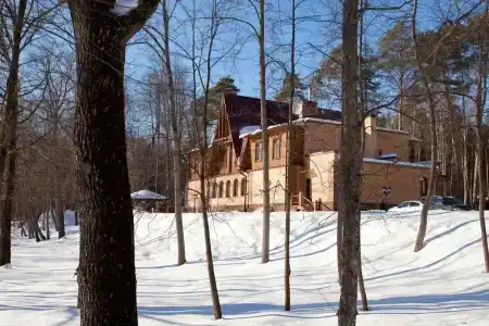 Zhemchuzhina Zolotogo Koltsa - 22