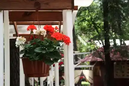 Okatur Tourist base - 7